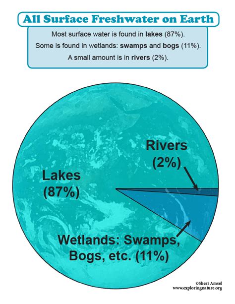 The Roles Of Water In Earths Surface Processes Grade 2