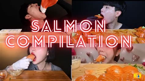 Salmon Sashimi Nigiri Mukbang Compilation Asmr Big Bites Satisfying