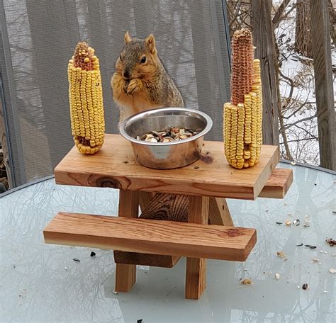 Squirrel Mini Picnic Table Feeder With Bowl Holds Peanuts Etsy