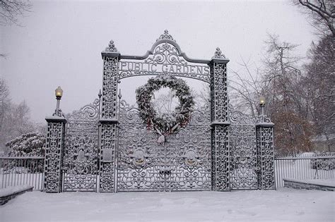 Public Gardens, Halifax, in winter | Public garden, Halifax public ...