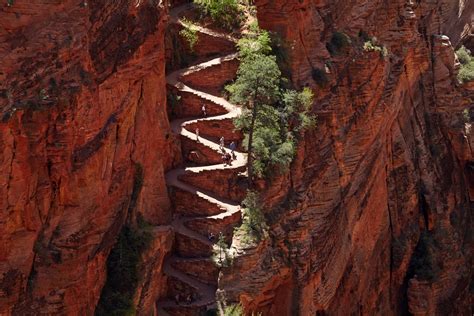 The Best Zion National Park Hikes, From Angel's Landing to Timber Creek | Condé Nast Traveler