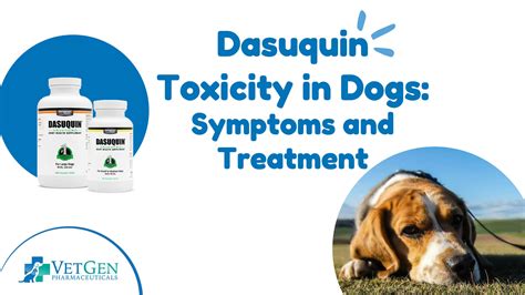 Dasuquin Toxicity In Dogs Symptoms And Treatment