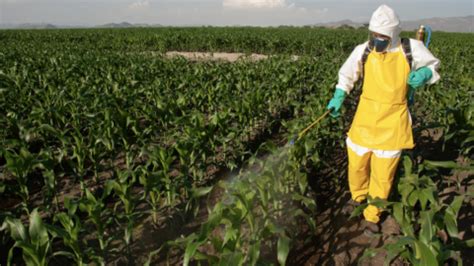 Demanda De Alimentos Archivos Las Empresas Verdes