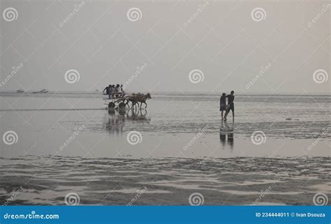 Scene at Sunset at Alibag Beach, Maharashtra, India Editorial Photo ...