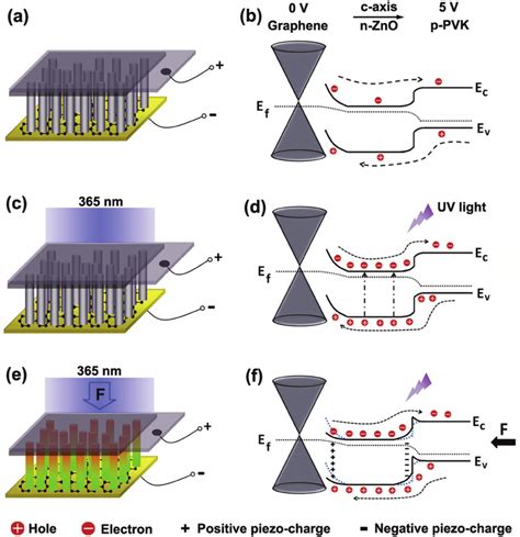 Schematics And Energy Band Diagrams Illustrate The Piezo Phototronic