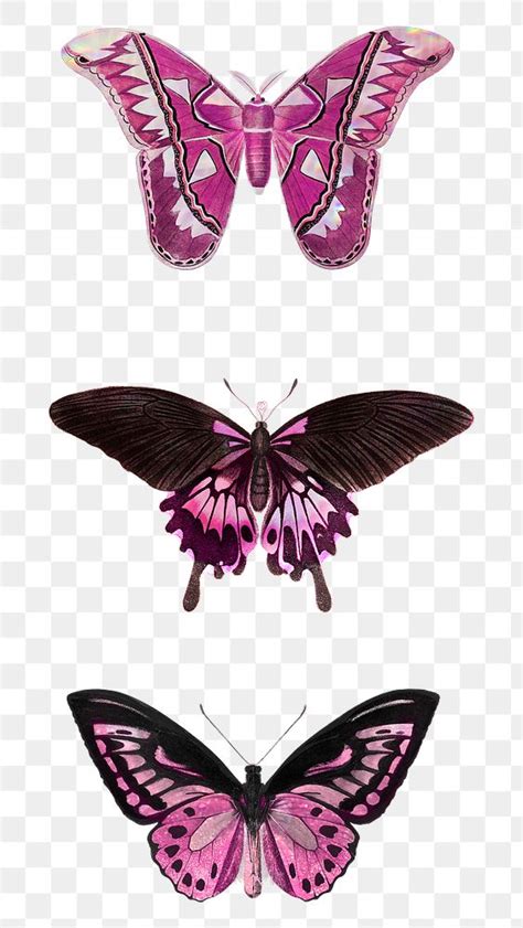 Pink Holographic And Glittery Butterfly Premium Png Rawpixel