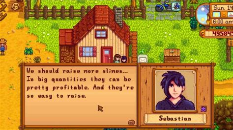 Stardew Valley Sebastian: Schedule, Gifts, and More