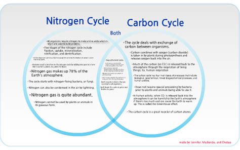 Carbon Cycle And Nitrogen Cycle Venn Diagram Activities Cycl