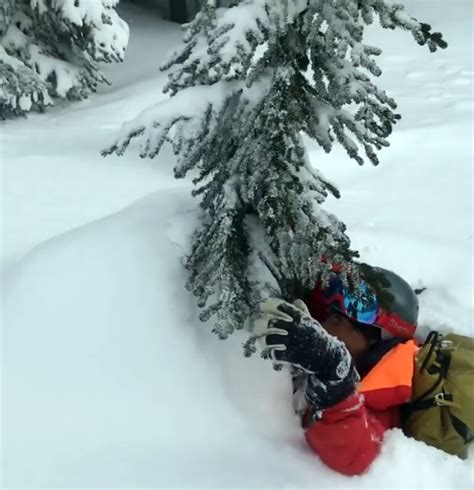 Tree Well Safety | Page 5 | SkiTalk | Ski reviews, Ski Selector