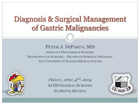 PPT Diagnosis Surgical Management Of Gastric Malignancies