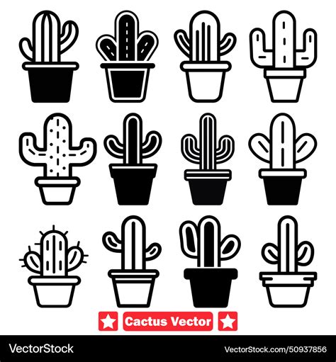 Oasis Of Inspiration Stunning Cactus Collection Vector Image