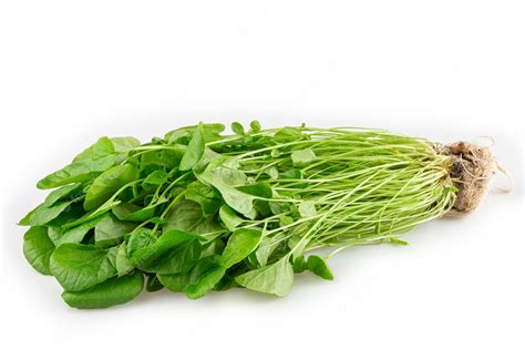 Premium Photo Hydroponic Watercress Isolated On White Background Cress