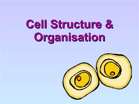 Cell Structure And Organisation Ppt