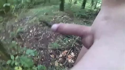 Free Wank In The Woods Gay Porn Videos Xhamster