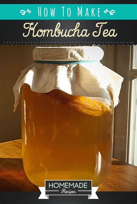 How To Make Kombucha Tea | Recipe