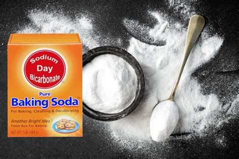 Dietitians Online Blog: Bicarbonate of Soda Day - The Many Uses of ...