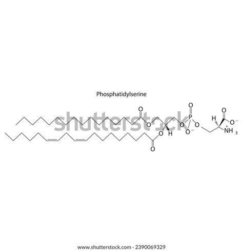 Diagram Showing Schematic Molecular Structure Phosphatidylserine Stock