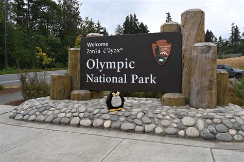 Olympic Nationalpark Schild Wo Ist Der Pinguin