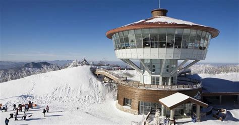 High1 Ski Resort Guide: the Highest Ski Resort in Korea - Trazy Blog