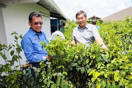 Lawatan YBTM II MAFI Ke Program Tenusu Syarikat Evergreen Livestock Sdn