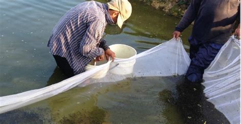 Piscícola Santa Cruz De La Degradación Ambiental A La Regeneración