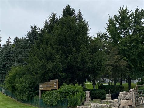 Pardes Shalom Cemetery in Vaughan, Ontario - Find a Grave Cemetery