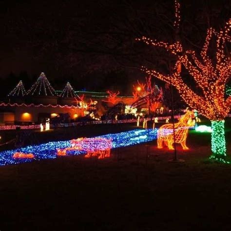 Detroit Zoo Wild Lights: BEST Guide to Wild Lights Detroit Zoo - My ...