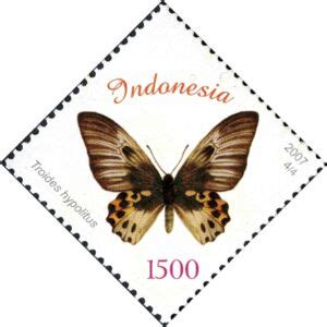 Stamp Rippon S Birdwing Troides Hypolitus Indonesia Butterflies