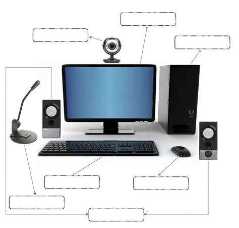 Els Components De L Ordinador Fitxa Interactiva Topworksheets