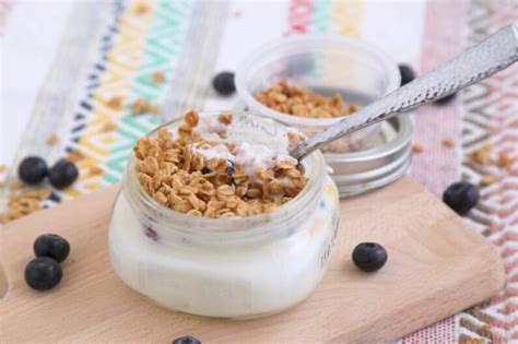 Protein Boosted Greek Yogurt with Granola – Sandi Griffin