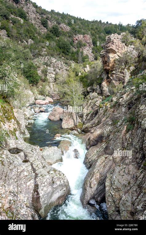 Gorges Du Prunelli Ajaccio Commune Corsica Corse Corse Du Sud