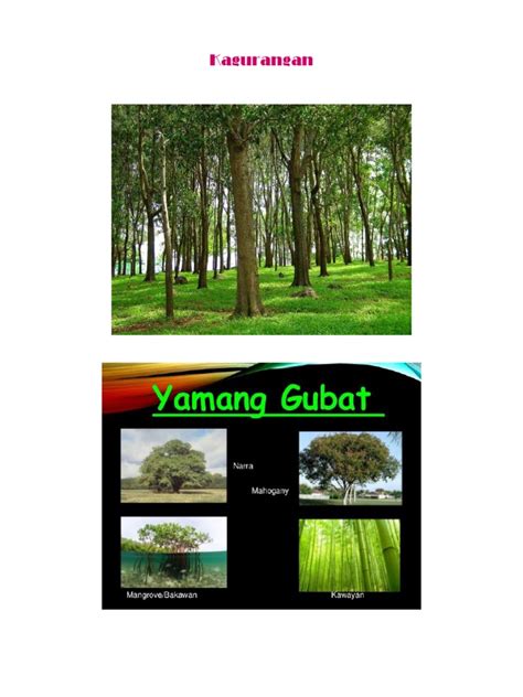 yamang gubat yamang gubat yamang dagat