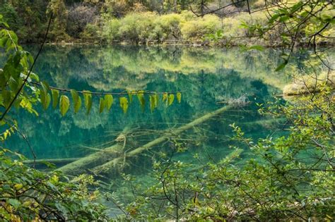 Five Flowers Lake China