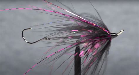 How To Tie The Hoh Bo Spey Midcurrent