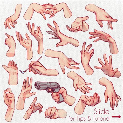 Hand Reference Drawing Pictures Drawing Skill