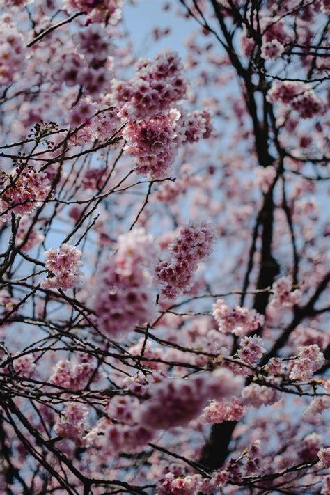 60,000+ Best Bright Photos · 100% Free Download · Pexels Stock Photos