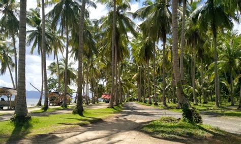 Pantai Ketapang Bahari Pantai Eksotis Yang Kaya Pesona Di Pesawaran