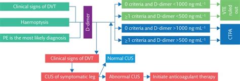 Pregnancy Adapted Years Algorithm Can Years Do More For Pregnant Women Pmc