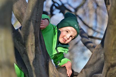 Forest School Greenwood Twickenham Nursery School