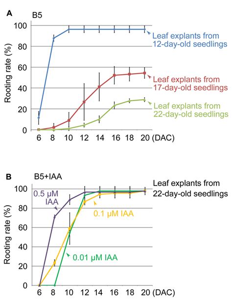 Frontiers A Simple Method Suitable To Study De Novo Root Organogenesis