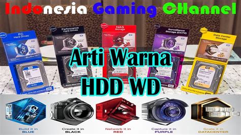 Perbedaan Warna Hardisk Wd Greenbluepurpleblack Red Dan Gold Youtube