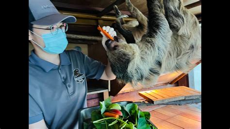 壽山動物園「動物媽咪」母親節快樂 聽聽保育員細數與動物相處時光 Youtube