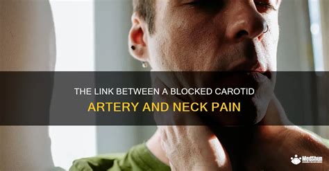 The Link Between A Blocked Carotid Artery And Neck Pain MedShun