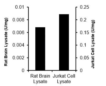 Adenosine Deaminase Ada Activity Assay Colorimetric Abcam