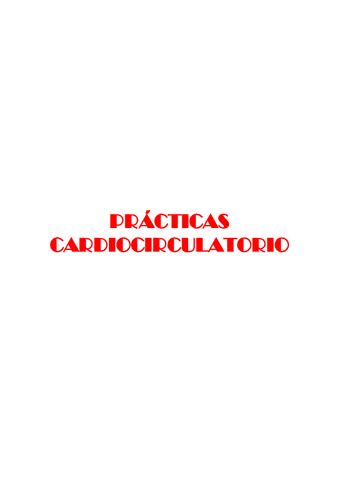 Practicas Cardio Completo Pdf