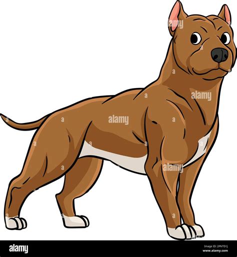 Pit Bull Cartoon Colored Clipart Illustration Stock Vector Image & Art ...