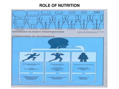 Ppt Introduction To Human Nutrition And Dietetics Ntd 103 3 Units