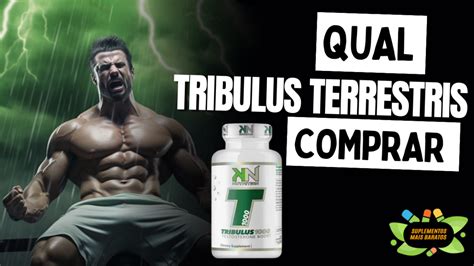 Qual Tribulus Terrestris Comprar Loja De Suplementos Mais Baratos