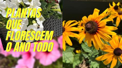 Conhe A Plantas Que V O Florir E Colorir O Seu Jardim O Ano Todo