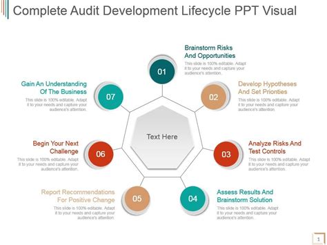 Complete Audit Development Lifecycle Ppt Visual PowerPoint Slide